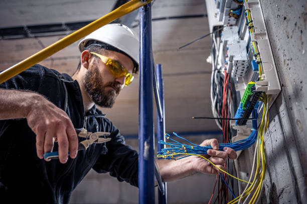 Best Electric Panel Repair  in Lanett, AL